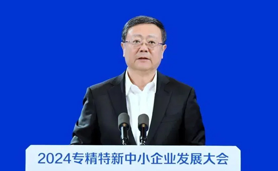 【新片区出海】做优“走出去”综合服务平台，助力企业海外发展！陈吉宁在2024专精特新中小企业发展大会开幕式致辞